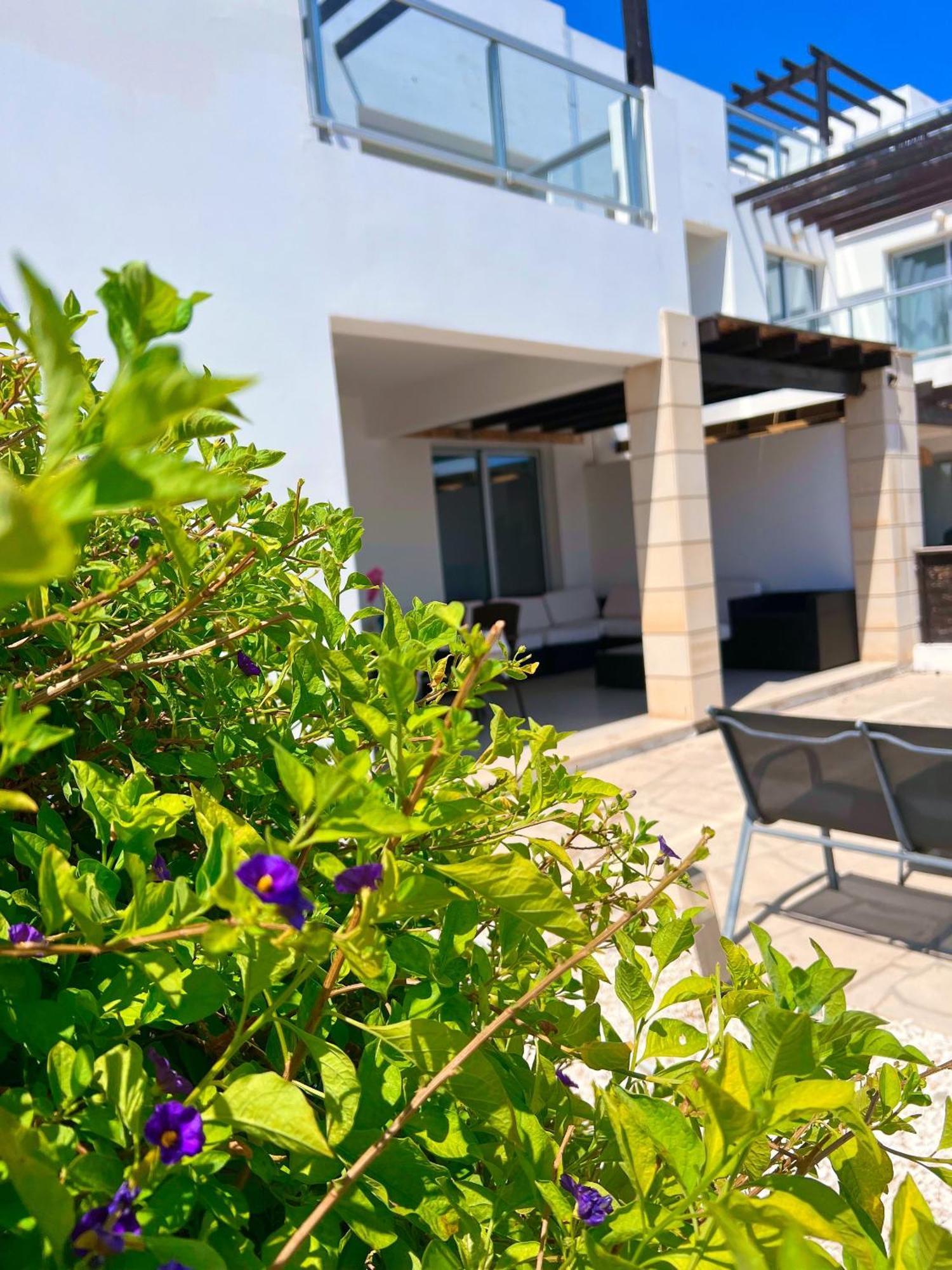 3 Bedroom Seaview Villa Direct In Coral Bay With Pool מראה חיצוני תמונה